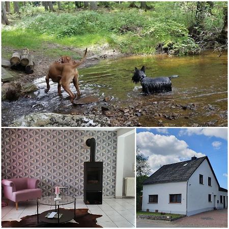 Nationalpark Ferienhaus Sophia-Luisa Borfink Dış mekan fotoğraf