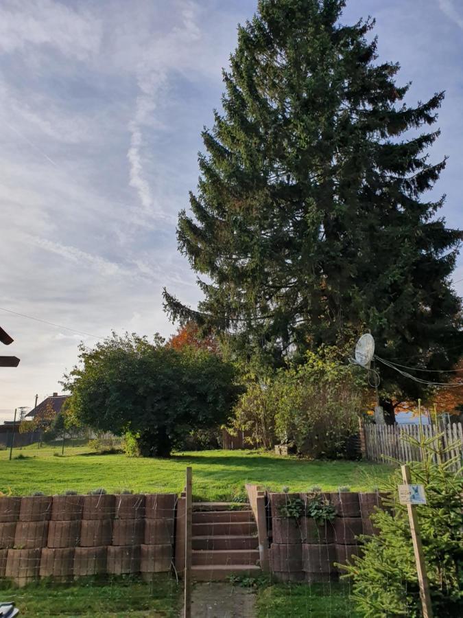 Nationalpark Ferienhaus Sophia-Luisa Borfink Dış mekan fotoğraf