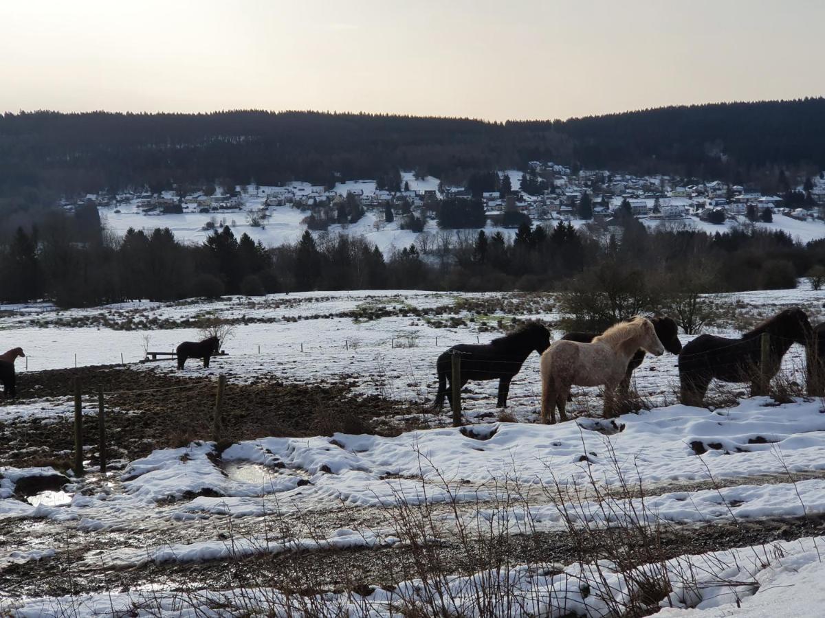 Nationalpark Ferienhaus Sophia-Luisa Borfink Dış mekan fotoğraf
