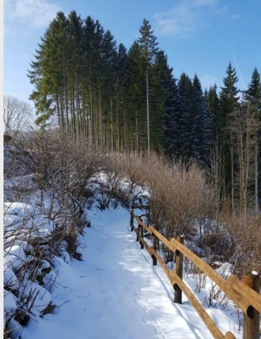 Nationalpark Ferienhaus Sophia-Luisa Borfink Dış mekan fotoğraf